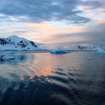 Antarctica Emblematic Antarctica