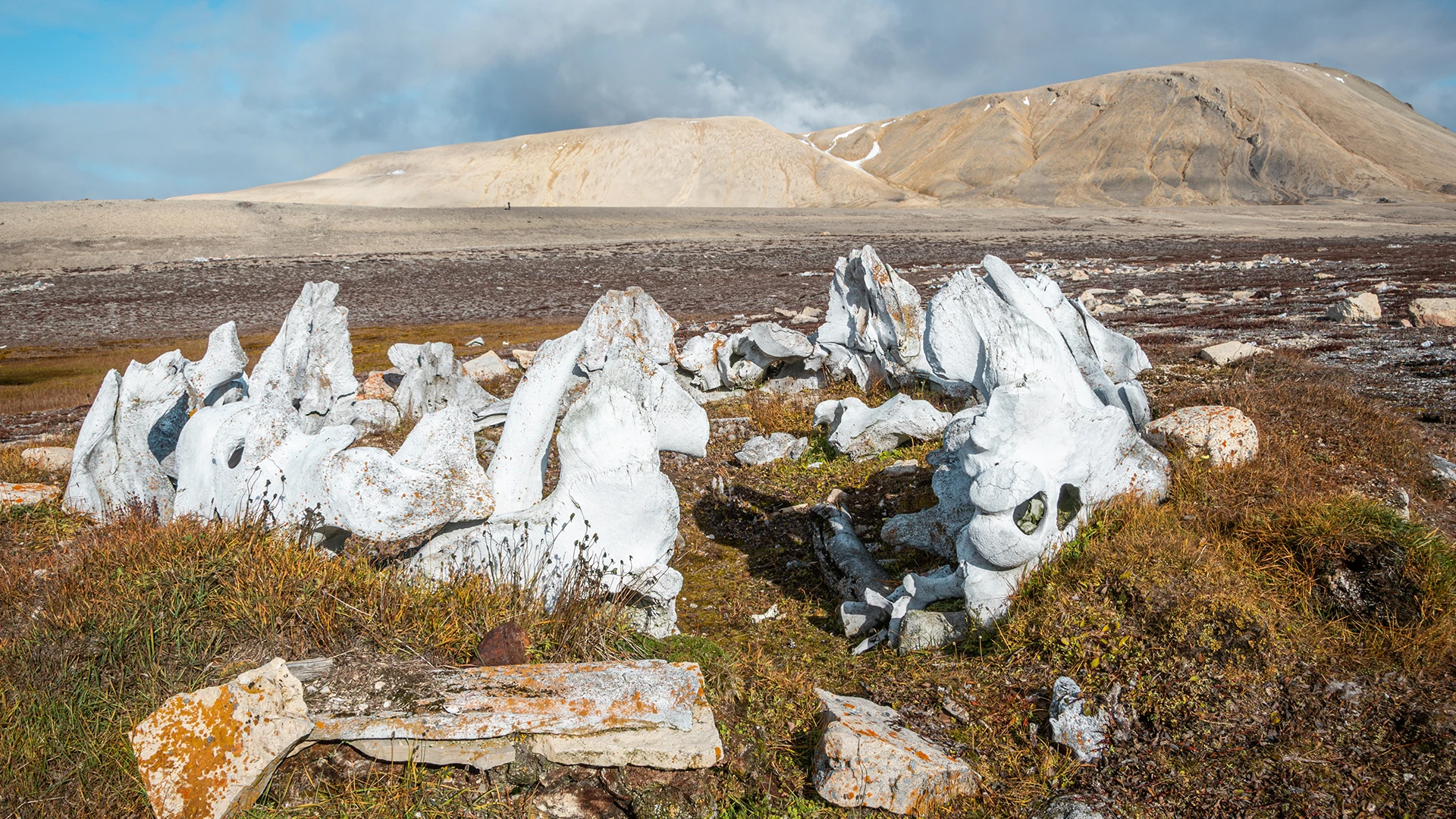 Canadian Arctic Tours and Holidays | Exclusive Expeditions