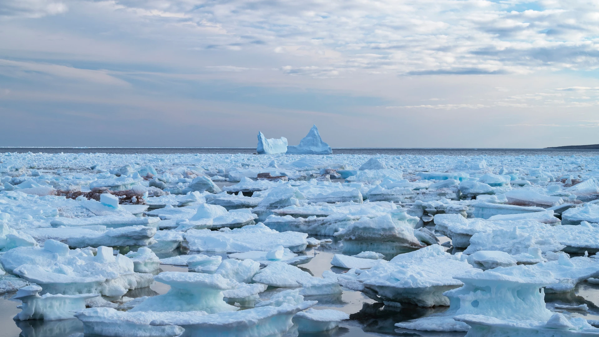 Canadian Arctic Tours and Holidays | Exclusive Expeditions
